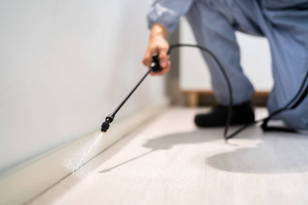 Licensed Termite Control service in Dadeville, AL - Nex Pest Control
