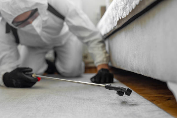 Professional Termite Control technician working in Dadeville, AL