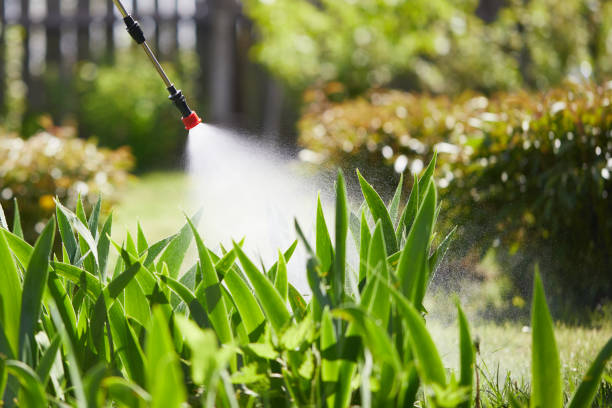 24/7 Emergency Termite Control experts in Dadeville, AL