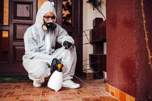 Reliable Termite Control contractor in Dadeville, AL by Nex Pest Control